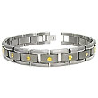 Titanium Gold Screw Accent Men's Bracelet