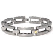 Titanium Men's Mechanic Link Bracelet w/ 14K Gold Screws