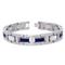 COLIBRI Stainless Steel Arctic Bluewood Mother of Pearl Bracelet