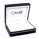 COLIBRI Stainless Steel Arctic Bluewood Mother of Pearl Money Clip