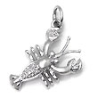 14K White Gold Diamond Lobster Pendant w/ Rolo Chain