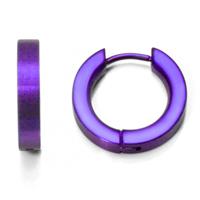 Deep Purple Anodized Titanium Huggie Earrings