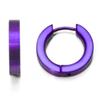Deep Purple Anodized Titanium Huggie Earrings