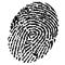 Fingerprint Laser Engraving Service