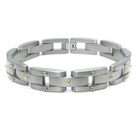 Titanium Men's Link Bracelet w/ Silver and Gold Screw Accents